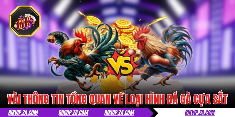 Đá Gà Cựa Sắt - Tìm Hiểu Thể Loại Chọi Kê Đậm Chất Máu Lửa 1 Vài thông tin tổng quan về loại hình đá gà cựa sắt